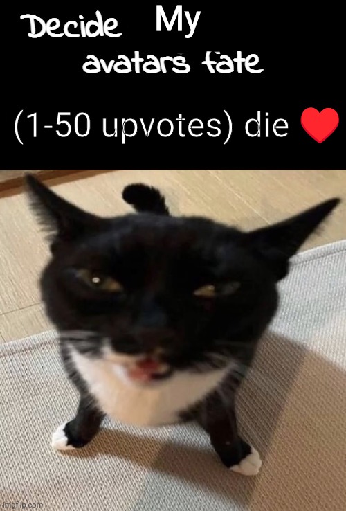 My; (1-50 upvotes) die ♥️ | made w/ Imgflip meme maker