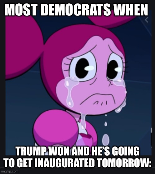 Democrats be like, part two: | MOST DEMOCRATS WHEN; TRUMP WON AND HE’S GOING TO GET INAUGURATED TOMORROW: | image tagged in spinel sad | made w/ Imgflip meme maker