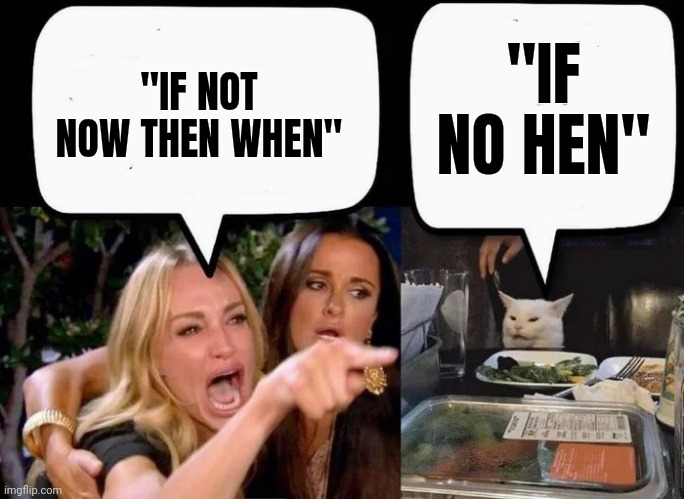 Don't eat the Cat | "IF NOT NOW THEN WHEN" "IF NO HEN" | image tagged in don't eat the cat | made w/ Imgflip meme maker