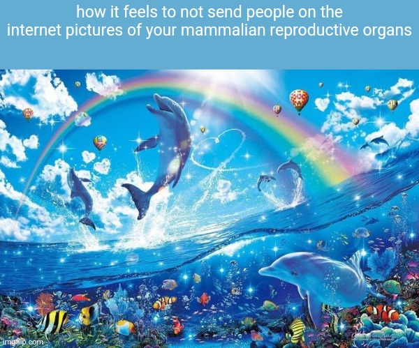 shits not that hard | how it feels to not send people on the internet pictures of your mammalian reproductive organs | image tagged in happy dolphin rainbow | made w/ Imgflip meme maker