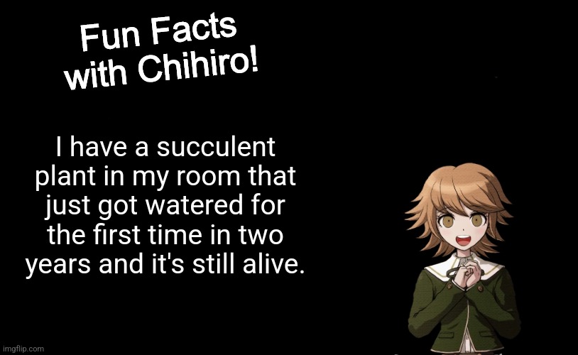 Just felt like sharing this | I have a succulent plant in my room that just got watered for the first time in two years and it's still alive. | image tagged in fun facts with chihiro template danganronpa thh,plants,water,alive | made w/ Imgflip meme maker