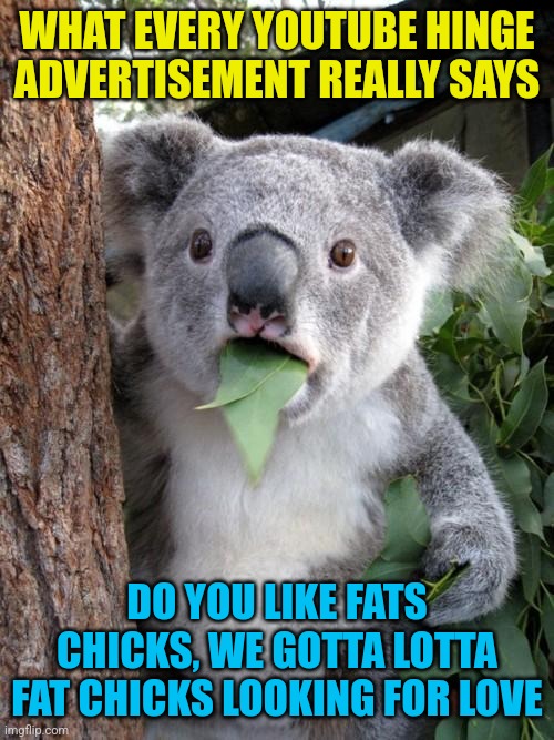 I see grenades, grenades everywhere | WHAT EVERY YOUTUBE HINGE ADVERTISEMENT REALLY SAYS; DO YOU LIKE FATS CHICKS, WE GOTTA LOTTA FAT CHICKS LOOKING FOR LOVE | image tagged in memes,surprised koala | made w/ Imgflip meme maker