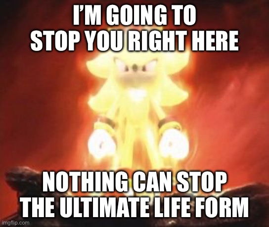 Super Shadow | I’M GOING TO STOP YOU RIGHT HERE; NOTHING CAN STOP THE ULTIMATE LIFE FORM | image tagged in super shadow | made w/ Imgflip meme maker