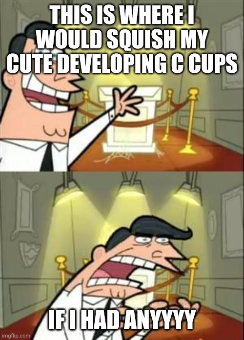 This Is Where I'd Put My Trophy If I Had One Meme | THIS IS WHERE I WOULD SQUISH MY CUTE DEVELOPING C CUPS; IF I HAD ANYYYY | image tagged in memes,this is where i'd put my trophy if i had one | made w/ Imgflip meme maker