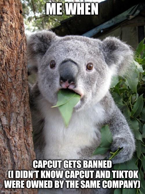 Surprised Koala | ME WHEN; CAPCUT GETS BANNED
 (I DIDN’T KNOW CAPCUT AND TIKTOK WERE OWNED BY THE SAME COMPANY) | image tagged in memes,surprised koala | made w/ Imgflip meme maker