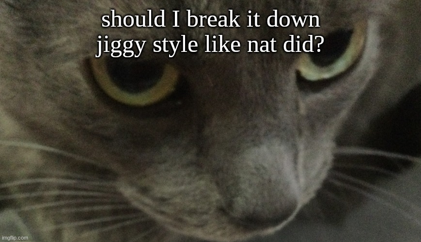 Sweetie | should I break it down jiggy style like nat did? | image tagged in sweetie | made w/ Imgflip meme maker