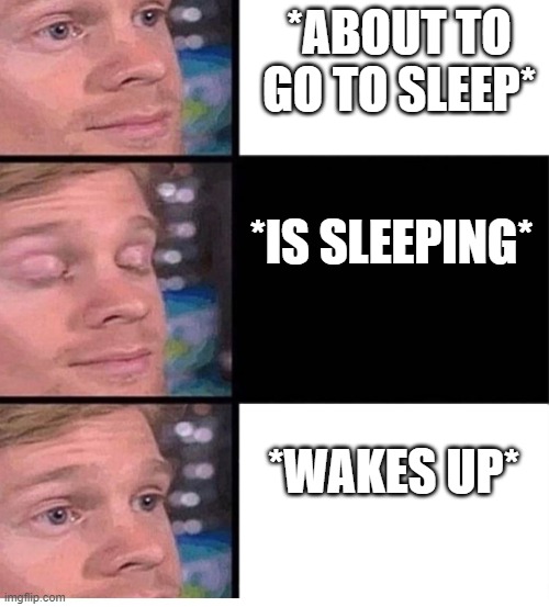 I wish this were the truth but nah we be playin Fortnite tonight | *ABOUT TO GO TO SLEEP*; *IS SLEEPING*; *WAKES UP* | image tagged in blinking guy vertical blank | made w/ Imgflip meme maker