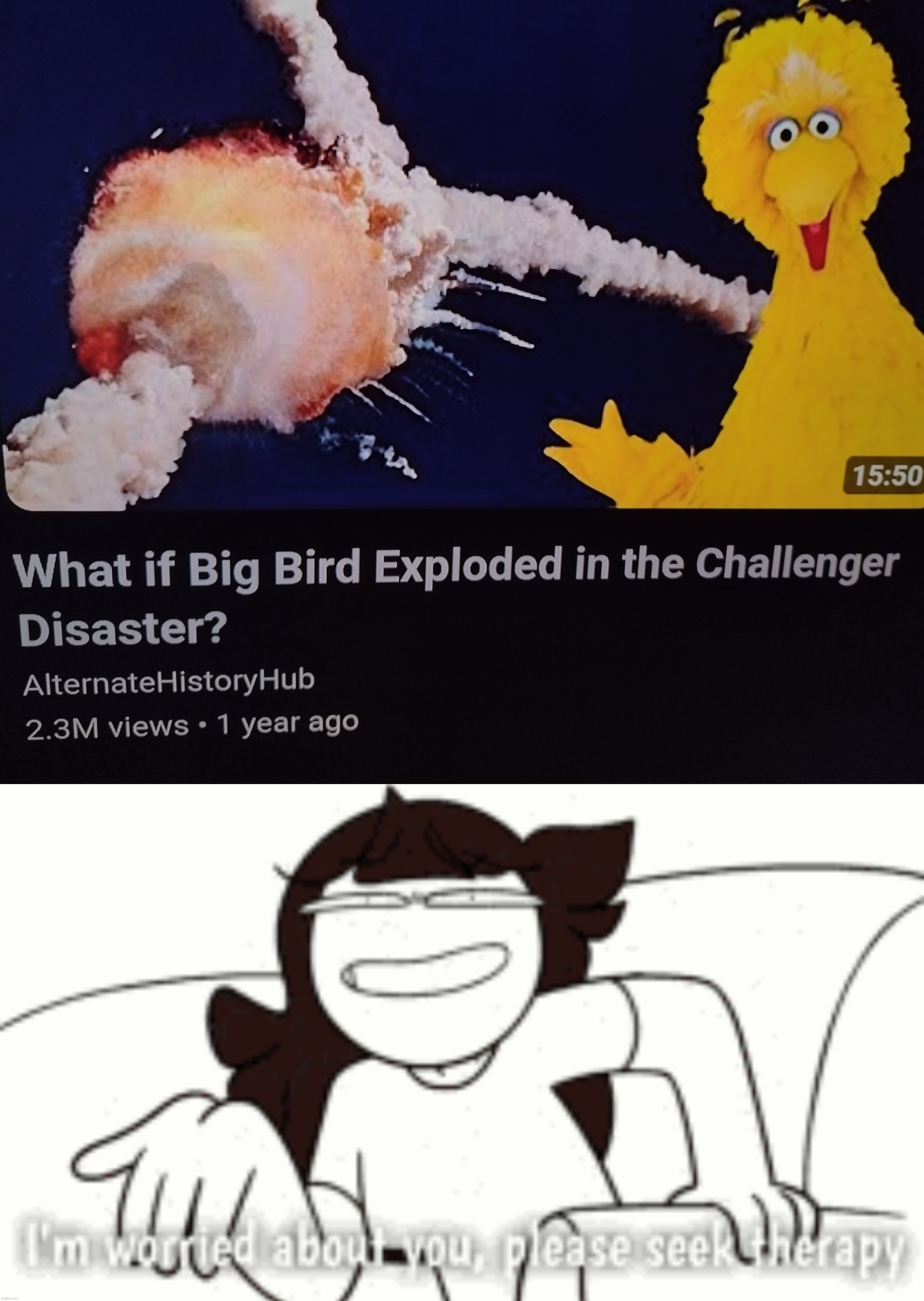 Big bird | image tagged in i'm worried about you | made w/ Imgflip meme maker