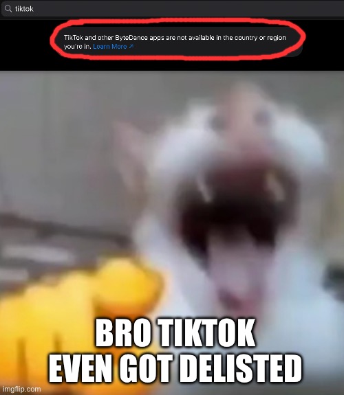 I’m genuinely glad the ban is happening | BRO TIKTOK EVEN GOT DELISTED | image tagged in cat pointing and laughing | made w/ Imgflip meme maker