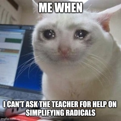 ME WHEN I CAN'T ASK THE TEACHER FOR HELP ON 
SIMPLIFYING RADICALS | image tagged in crying cat | made w/ Imgflip meme maker