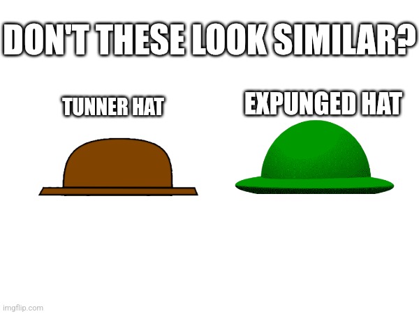 DON'T THESE LOOK SIMILAR? EXPUNGED HAT; TUNNER HAT | made w/ Imgflip meme maker