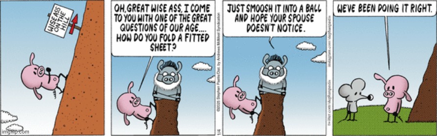 Pearls Before Swine | image tagged in comics | made w/ Imgflip meme maker