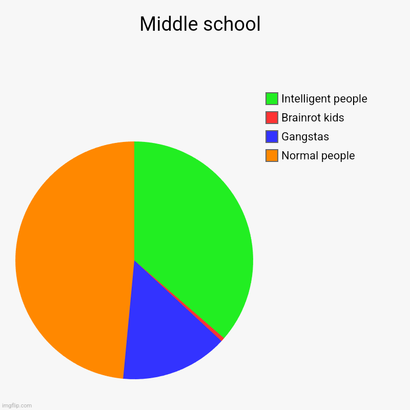 Middle school  | Normal people , Gangstas, Brainrot kids, Intelligent people | image tagged in charts,pie charts | made w/ Imgflip chart maker