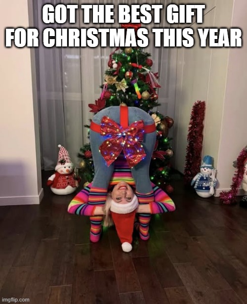 Guess What Gift I Got | GOT THE BEST GIFT FOR CHRISTMAS THIS YEAR | image tagged in sex jokes | made w/ Imgflip meme maker