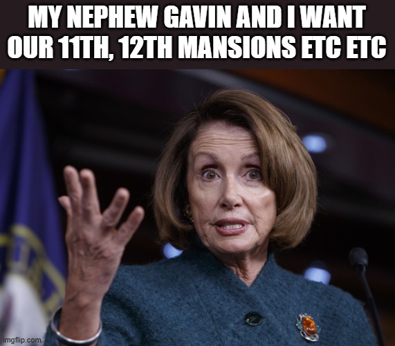 Good old Nancy Pelosi | MY NEPHEW GAVIN AND I WANT OUR 11TH, 12TH MANSIONS ETC ETC | image tagged in good old nancy pelosi | made w/ Imgflip meme maker