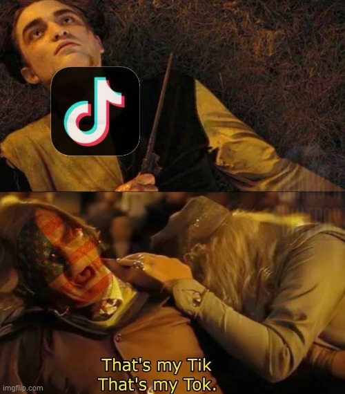 Disappearence of the tok in the USA | image tagged in tiktok,usa | made w/ Imgflip meme maker