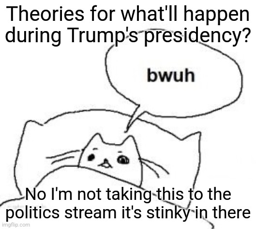 Bwuh | Theories for what'll happen during Trump's presidency? No I'm not taking this to the politics stream it's stinky in there | image tagged in bwuh | made w/ Imgflip meme maker