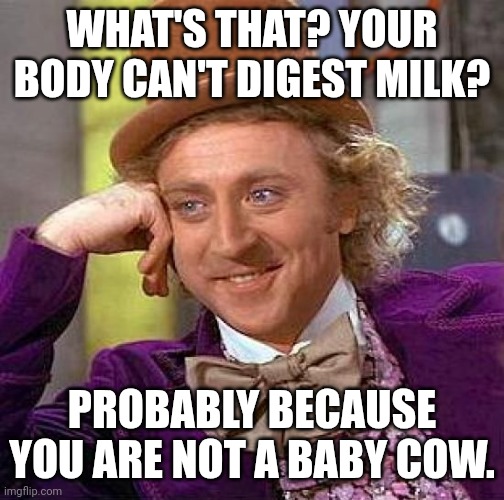 Creepy Condescending Wonka Meme | WHAT'S THAT? YOUR BODY CAN'T DIGEST MILK? PROBABLY BECAUSE YOU ARE NOT A BABY COW. | image tagged in memes,creepy condescending wonka,milk | made w/ Imgflip meme maker