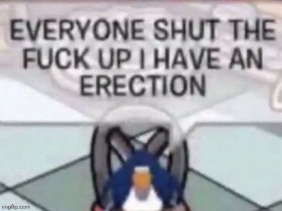 EVERYONE SHUT THE FUCK UP I HAVE AN ERECTION | image tagged in everyone shut the fuck up i have an erection | made w/ Imgflip meme maker