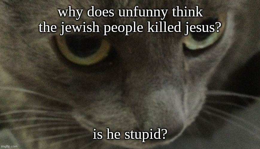 Sweetie | why does unfunny think the jewish people killed jesus? is he stupid? | image tagged in sweetie | made w/ Imgflip meme maker