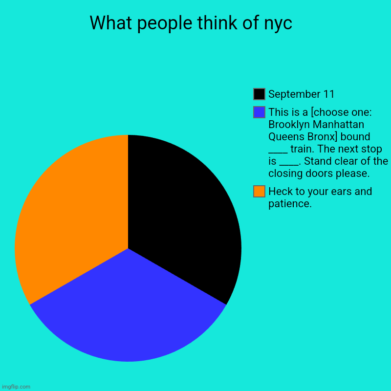 Basically nyc in a nutshell. | What people think of nyc  | Heck to your ears and patience., This is a [choose one: Brooklyn Manhattan Queens Bronx] bound ____ train. The n | image tagged in charts,pie charts | made w/ Imgflip chart maker