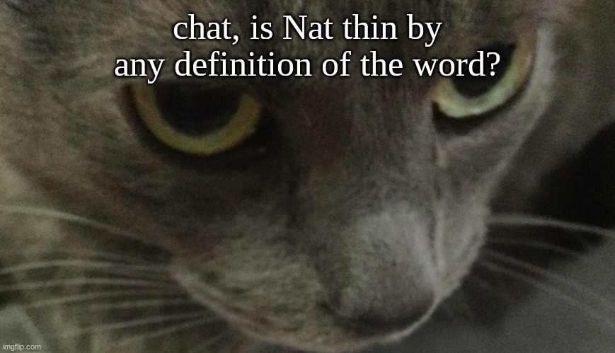 Sweetie | chat, is Nat thin by any definition of the word? | image tagged in sweetie | made w/ Imgflip meme maker