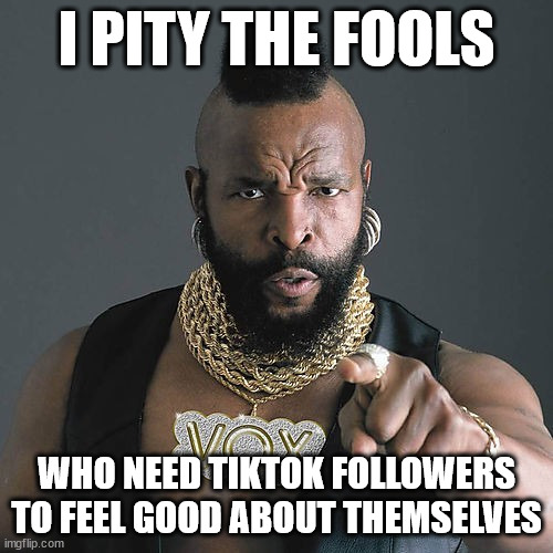 Mr T Pity The Fool | I PITY THE FOOLS; WHO NEED TIKTOK FOLLOWERS TO FEEL GOOD ABOUT THEMSELVES | image tagged in memes,mr t pity the fool | made w/ Imgflip meme maker