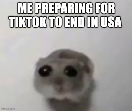 Sad mouse tiktok | ME PREPARING FOR TIKTOK TO END IN USA | image tagged in sad mouse tiktok | made w/ Imgflip meme maker