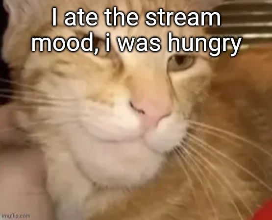 cat mewing | I ate the stream mood, i was hungry | image tagged in cat mewing | made w/ Imgflip meme maker