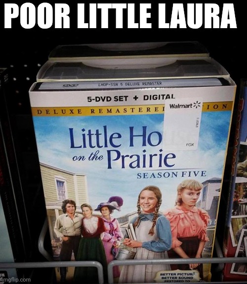 Poor Little Laura | POOR LITTLE LAURA | image tagged in little house on the prairie meme walmart | made w/ Imgflip meme maker