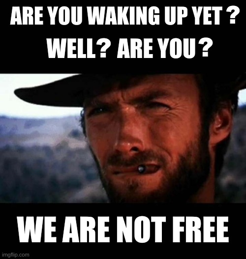 WE ARE NOT FREE | image tagged in freedom,free speech,tik tok,corruption,big government | made w/ Imgflip meme maker