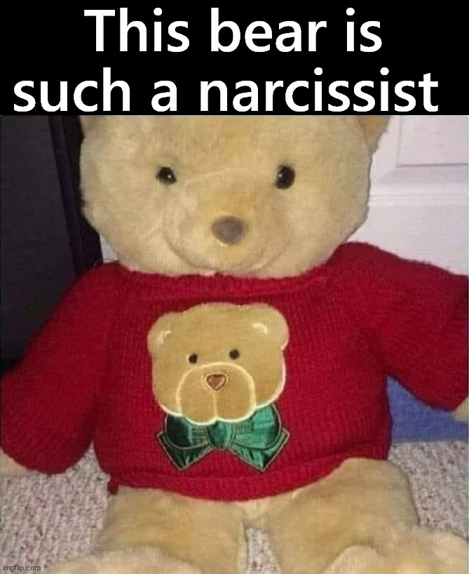 Just needs a mirror | This bear is such a narcissist | image tagged in narcissist,bear,sweater | made w/ Imgflip meme maker