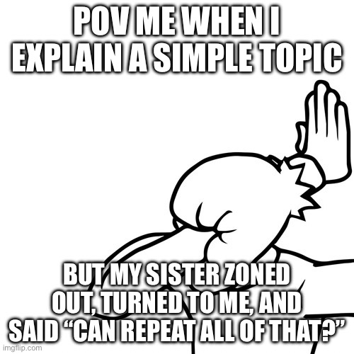 Bro | POV ME WHEN I EXPLAIN A SIMPLE TOPIC; BUT MY SISTER ZONED OUT, TURNED TO ME, AND SAID “CAN REPEAT ALL OF THAT?” | image tagged in face palm | made w/ Imgflip meme maker