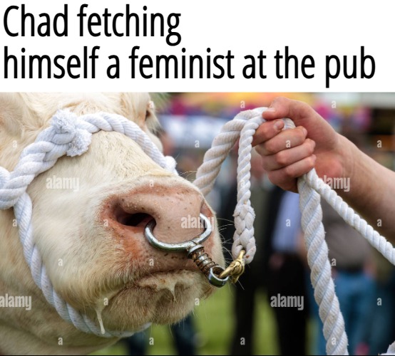 Chad fetching 
himself a feminist at the pub | image tagged in feminists,funny | made w/ Imgflip meme maker