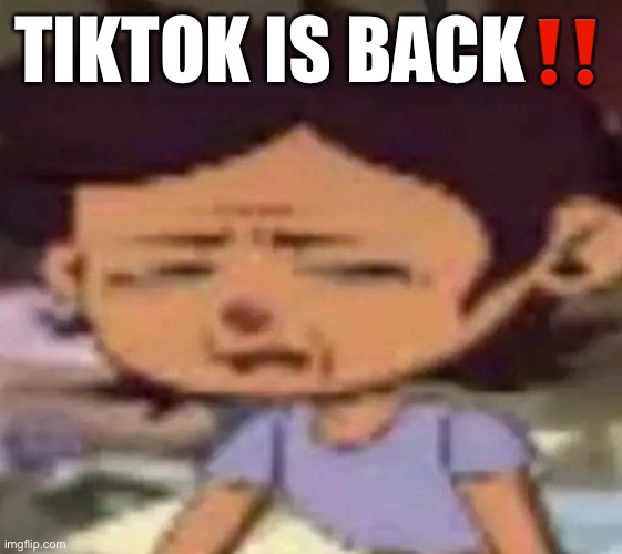 the government legit just grounded us | TIKTOK IS BACK‼️ | image tagged in luz distressed | made w/ Imgflip meme maker