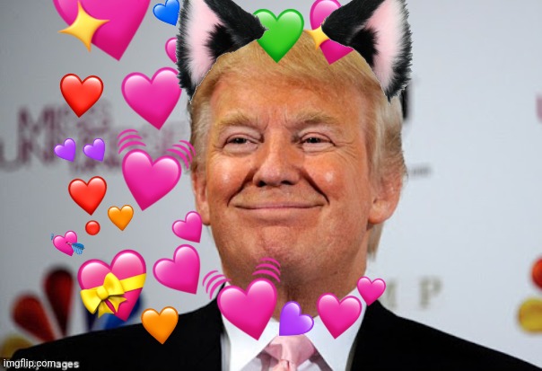 Donald trump approves | image tagged in donald trump approves | made w/ Imgflip meme maker