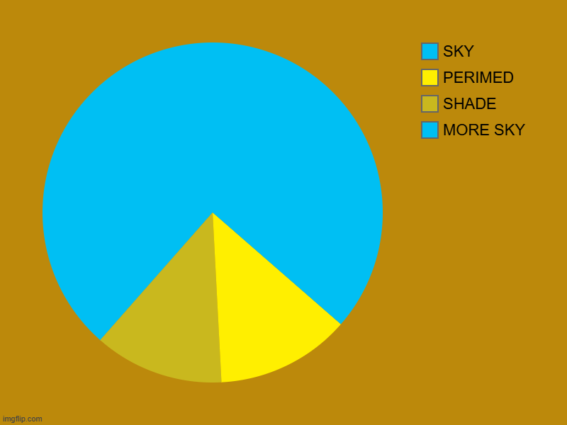 YET ANOTHER | MORE SKY, SHADE, PERIMED, SKY | image tagged in charts,pie charts | made w/ Imgflip chart maker