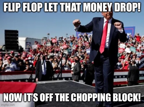 Trump dance fool | FLIP FLOP LET THAT MONEY DROP! NOW IT’S OFF THE CHOPPING BLOCK! | image tagged in trump dance fool | made w/ Imgflip meme maker