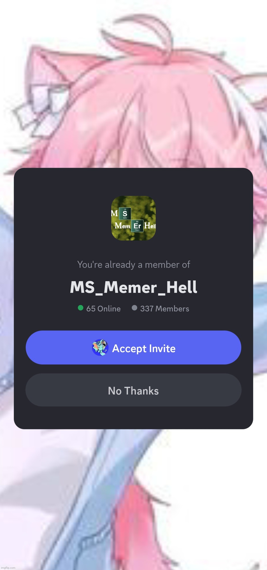 the image when you join the msmg discord is a femboy | made w/ Imgflip meme maker