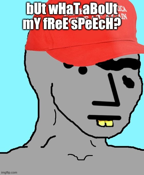 MAGA NPC | bUt wHaT aBoUt mY fReE sPeEcH? | image tagged in maga npc | made w/ Imgflip meme maker