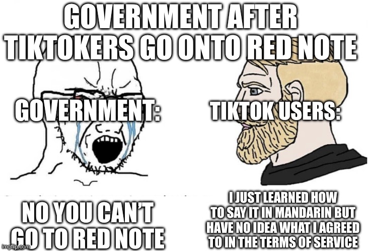 TikTok Ban in a Nutshell | GOVERNMENT AFTER TIKTOKERS GO ONTO RED NOTE; GOVERNMENT:; TIKTOK USERS:; I JUST LEARNED HOW TO SAY IT IN MANDARIN BUT HAVE NO IDEA WHAT I AGREED TO IN THE TERMS OF SERVICE; NO YOU CAN’T GO TO RED NOTE | image tagged in soyboy vs yes chad | made w/ Imgflip meme maker