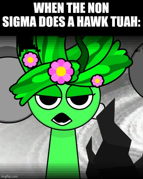 WHEN THE NON SIGMA DOES A HAWK TUAH: | made w/ Imgflip meme maker