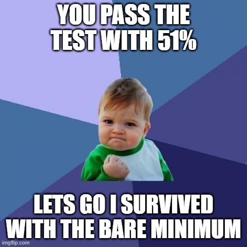 Success Kid Meme | YOU PASS THE TEST WITH 51%; LETS GO I SURVIVED WITH THE BARE MINIMUM | image tagged in memes,success kid | made w/ Imgflip meme maker