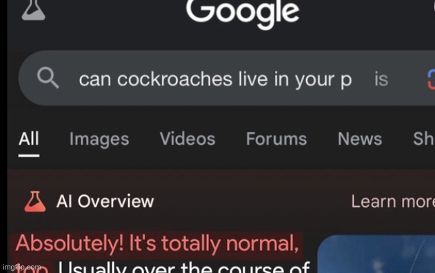 ok I said I wouldnt post here for a few days, but this shit is just too funny | made w/ Imgflip meme maker