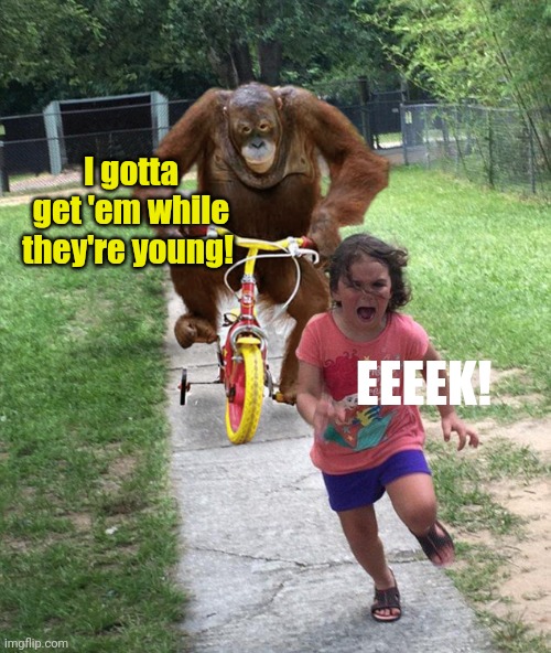 Orangutan chasing girl on a tricycle | I gotta get 'em while they're young! EEEEK! | image tagged in orangutan chasing girl on a tricycle | made w/ Imgflip meme maker