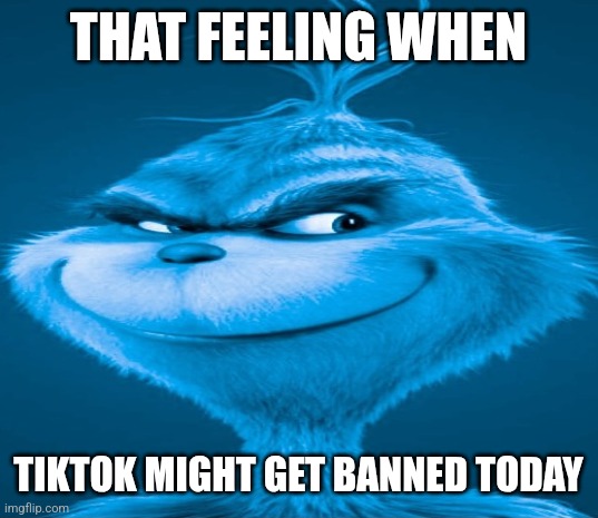 Blue Grinch | THAT FEELING WHEN; TIKTOK MIGHT GET BANNED TODAY | image tagged in blue grinch | made w/ Imgflip meme maker