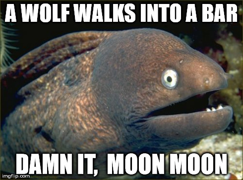 Bad Joke Eel Meme | A WOLF WALKS INTO A BAR DAMN IT,  MOON MOON | image tagged in memes,bad joke eel,AdviceAnimals | made w/ Imgflip meme maker