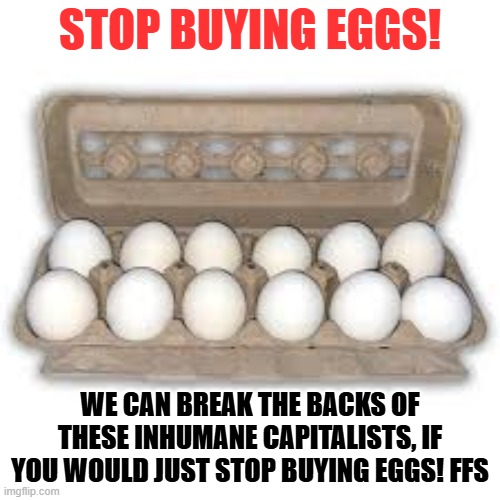 STOP BUYING EGGS | STOP BUYING EGGS! WE CAN BREAK THE BACKS OF THESE INHUMANE CAPITALISTS, IF YOU WOULD JUST STOP BUYING EGGS! FFS | image tagged in egg,eggs,easter eggs,economy,capitalism | made w/ Imgflip meme maker