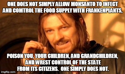 One Does Not Simply Meme | ONE DOES NOT SIMPLY ALLOW MONSANTO TO INFECT AND COMTROL THE FOOD SUPPLY WITH FRANKENPLANTS,  POISON YOU, YOUR CHILDREN, AND GRANDCHILDREN,  | image tagged in memes,one does not simply | made w/ Imgflip meme maker