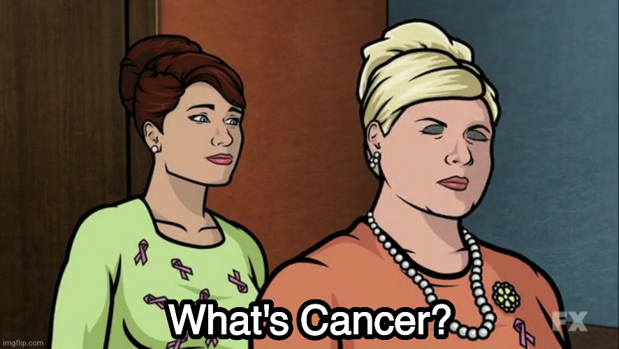 I Miss This Show She Was 1of My Favs | image tagged in archer,cheryl tunt,cancer,pam poovey,memes | made w/ Imgflip meme maker